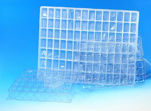 泉州特價食品吸塑推薦 價格實惠的食品吸塑