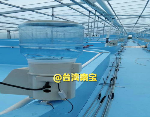 繁育池漆,培育池漆在循環(huán)水工廠化水產(chǎn)養(yǎng)殖刷漆的作用