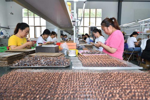 保康 鄉村 微工廠 拓寬村民就業路