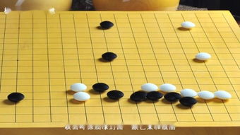 圍棋視頻 &ndash;