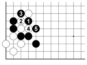圍棋基礎訓練 吃子練習 一 動態圖3