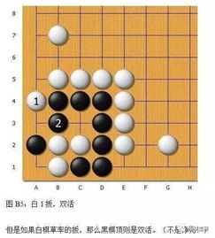 死活難點(diǎn)解析 圍棋 金柜角 全緊氣情況變化詳解