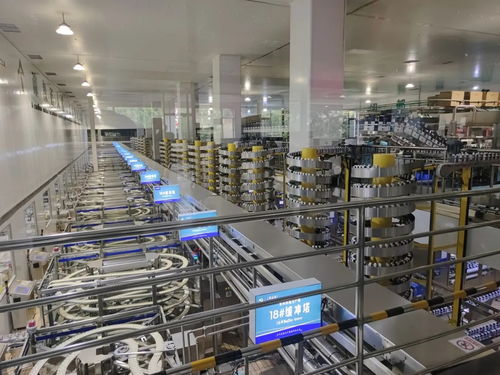 二十四節(jié)氣看蒙牛丨立秋共赴烏蘭布和之約 看沙漠有機奶源