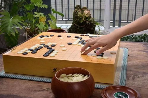 巍山 大理南詔圍棋廠開業