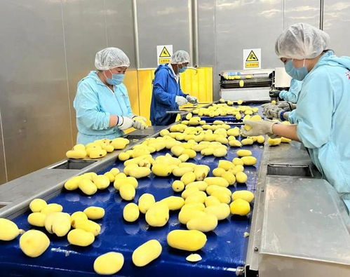 福滿興食品廠投產，利群商業集團布局全產業鏈再落一子